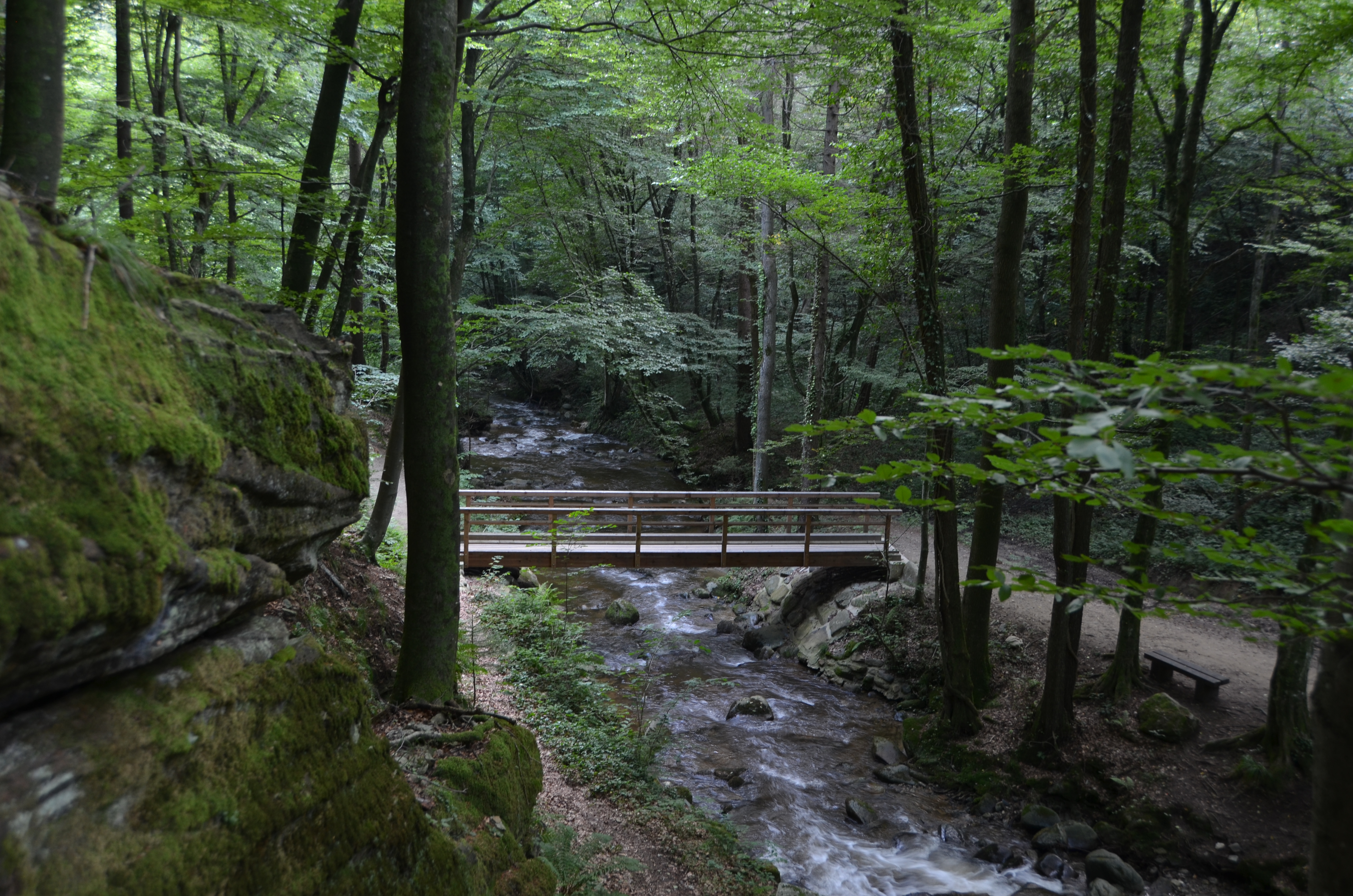 The wooden footbridge in Bistrica Gorge (built in 2018)