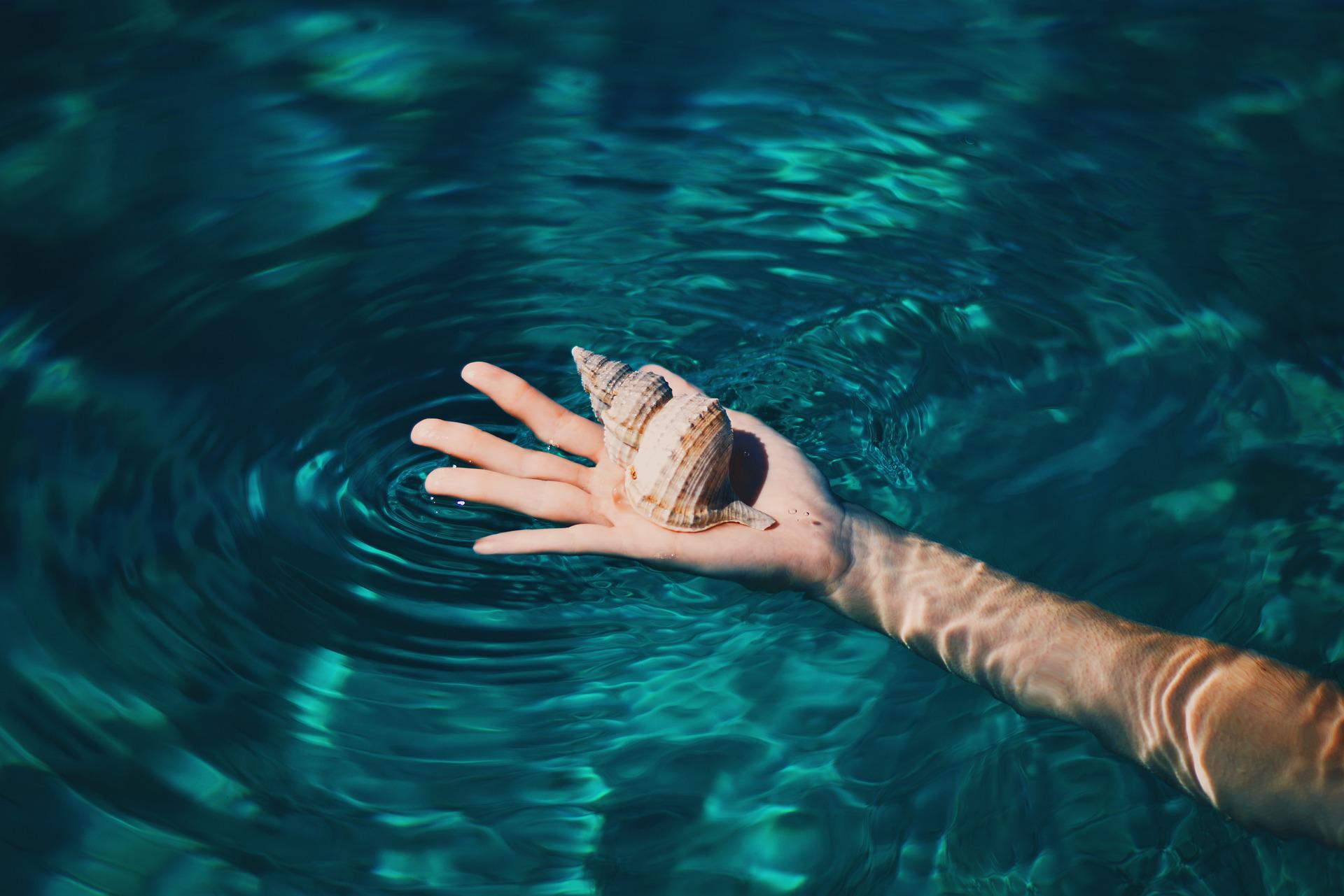 A hand holding a seashell in the water